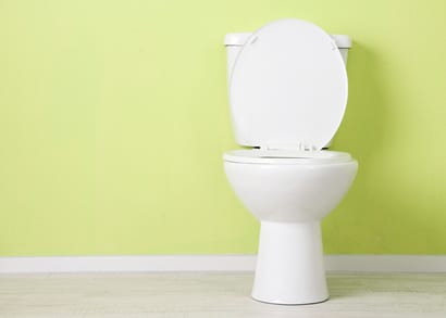 Toilet Connected to Septic Tank